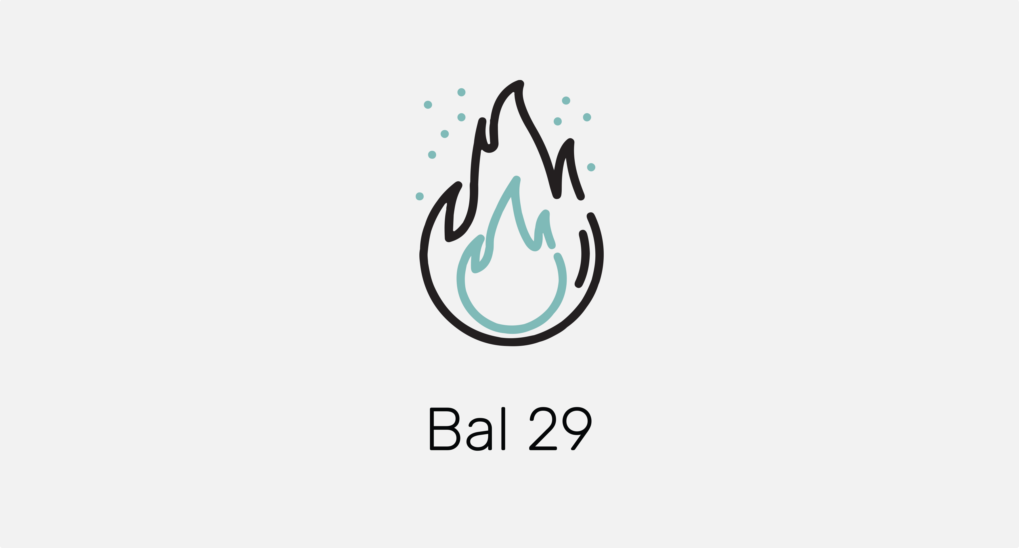 Bal29